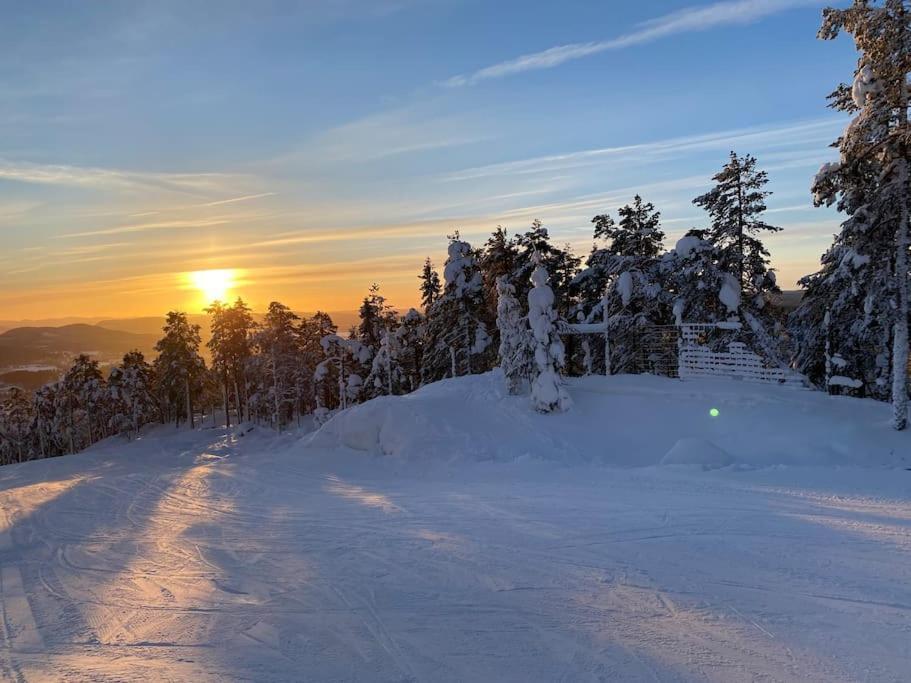 Modern Stuga Med Ski Lodge Kaensla Йервсё Экстерьер фото