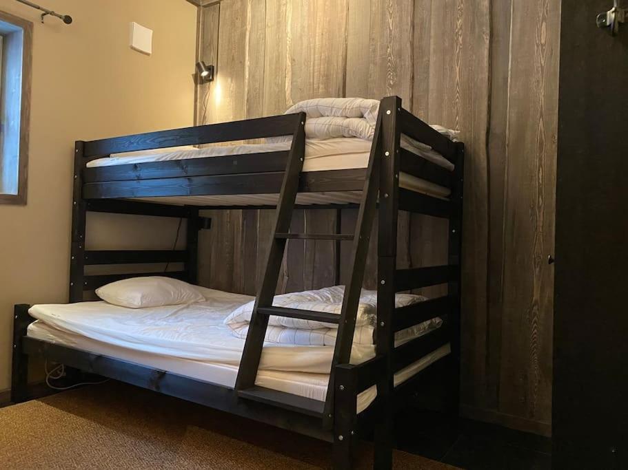 Modern Stuga Med Ski Lodge Kaensla Йервсё Экстерьер фото
